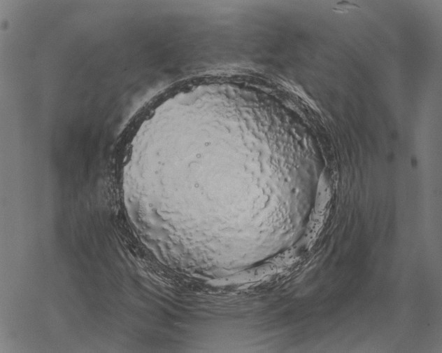 X0000068841256200605261632