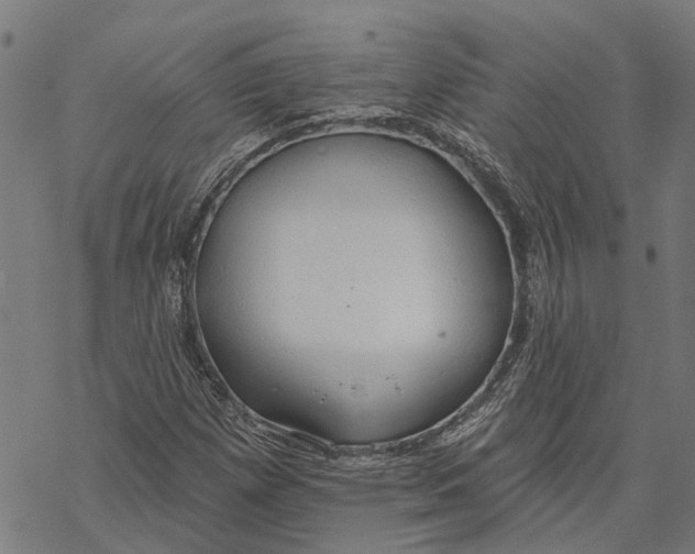 X0000068841257200605261632