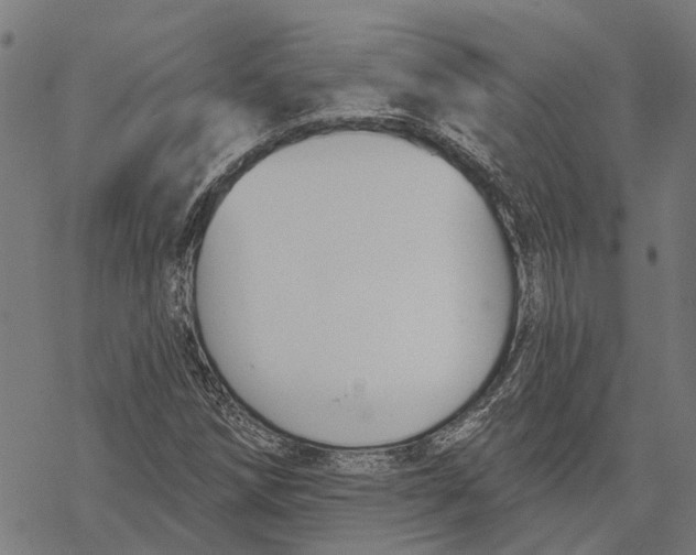 X0000068841258200605261632