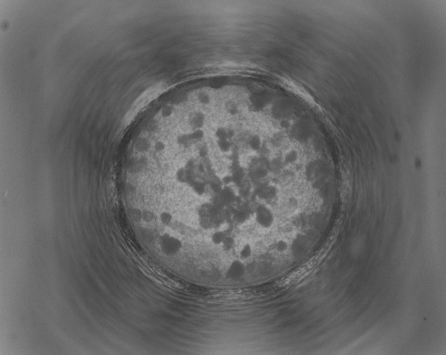 X0000068841259200605261632