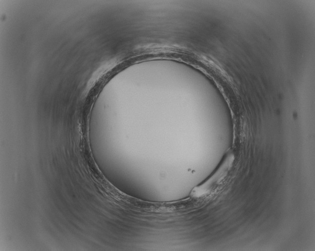 X0000068841261200605261631