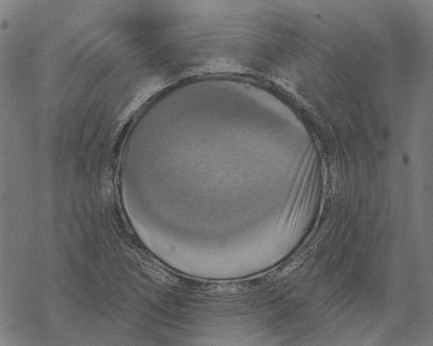 X0000068841266200605261631