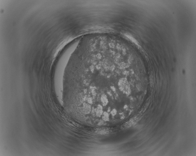 X0000068841267200605261631