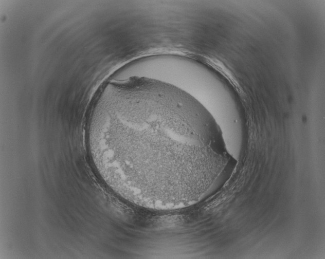 X0000068841268200605261631