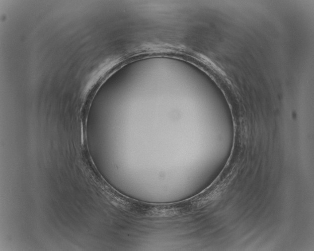 X0000068841269200605261631