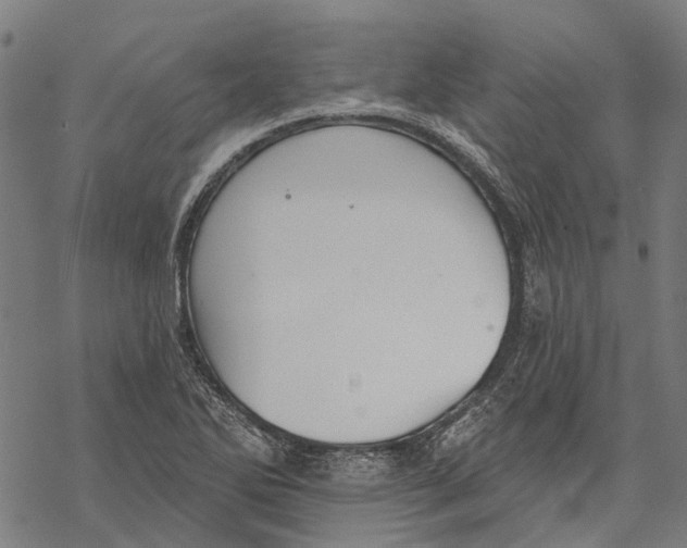 X0000068841270200605261631