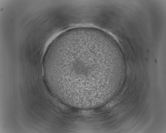 X0000068841271200605261631