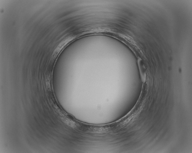 X0000068841273200605261631