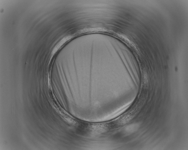 X0000068841274200605261631