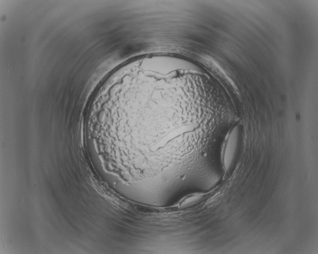 X0000068841276200605261631