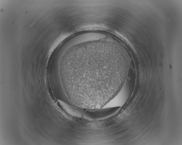 X0000068841277200605261631