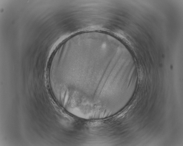 X0000068841278200605261631