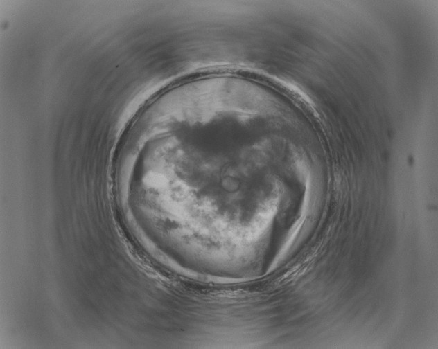 X0000068841279200605261631