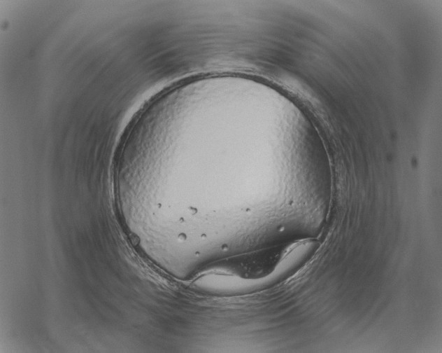 X0000068841280200605261631