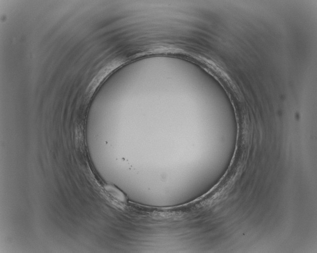 X0000068841281200605261631