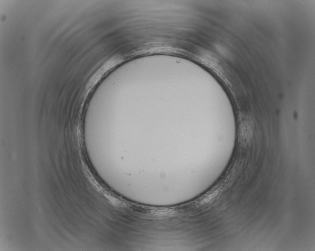 X0000068841282200605261631