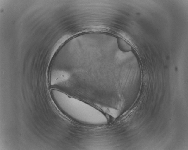 X0000068841283200605261631