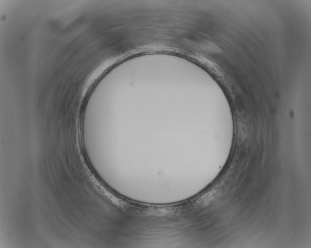 X0000068841286200605261631