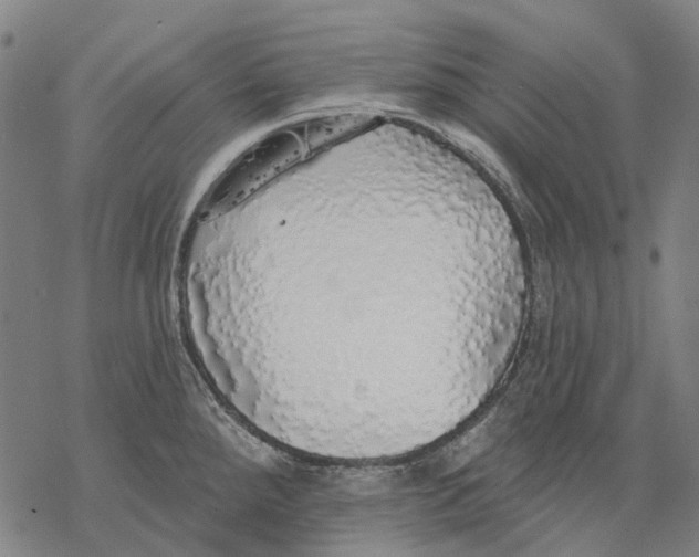 X0000068841288200605261631