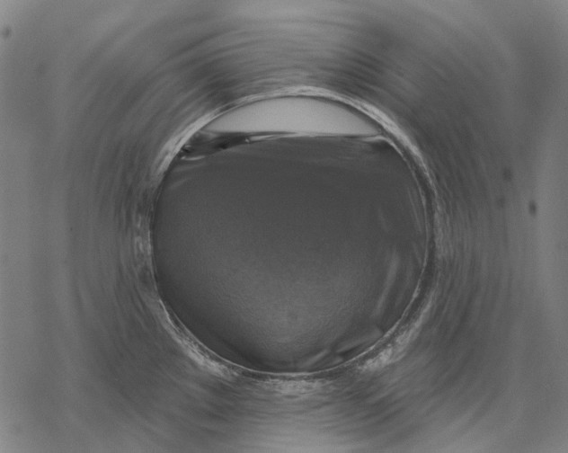 X0000068841289200605261631