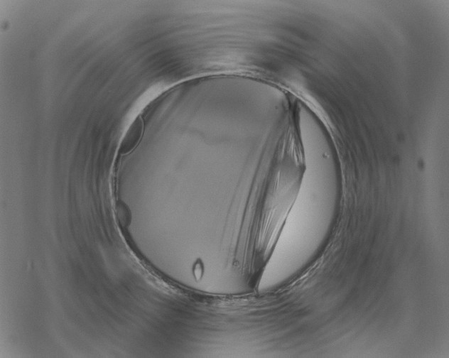 X0000068841291200605261631