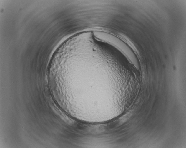 X0000068841292200605261631