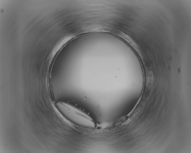 X0000068841293200605261631