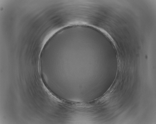 X0000068841295200605261631