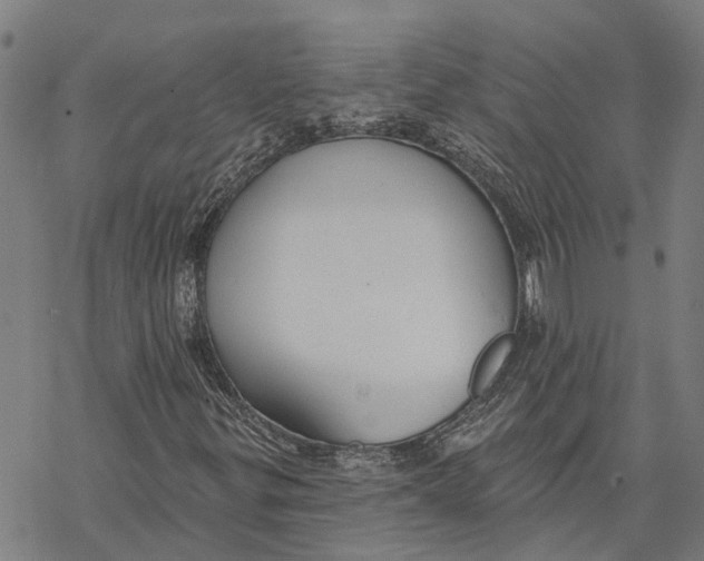 X0000068841299200605261630