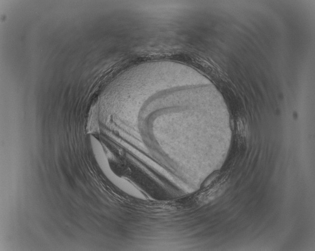 X0000068841300200605261630