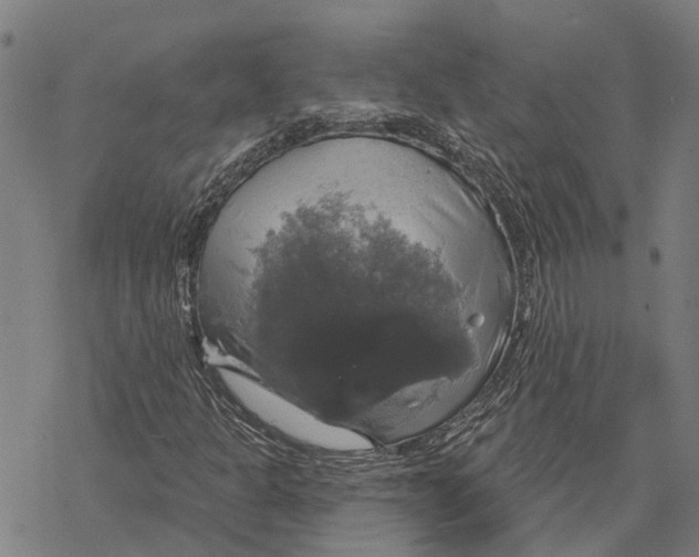 X0000068841301200605261630