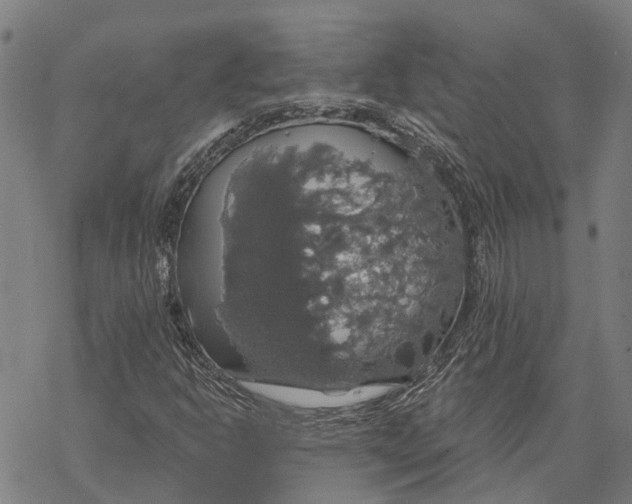 X0000068841302200605261630