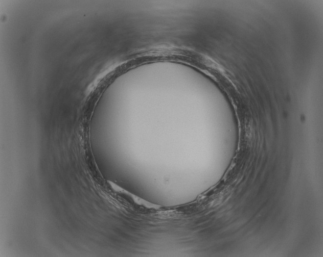 X0000068841304200605261630