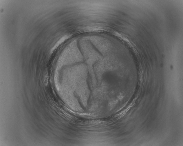 X0000068841306200605261630