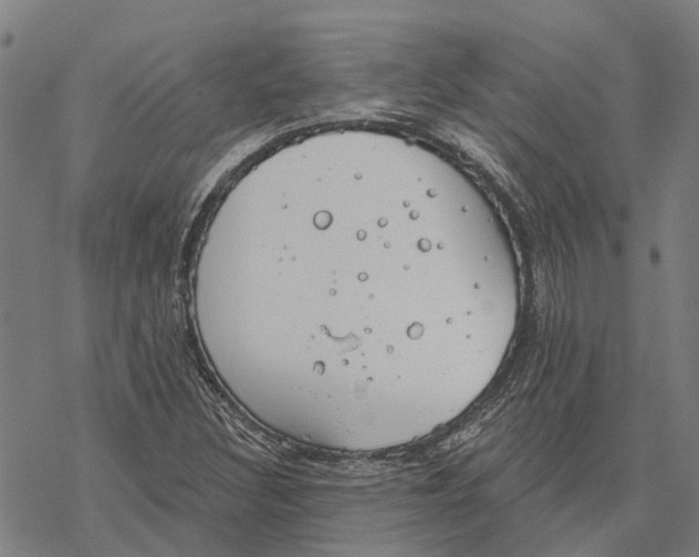 X0000068841308200605261630