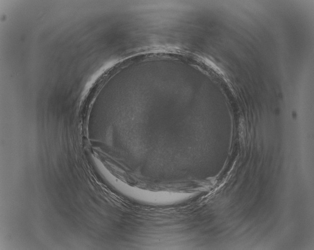 X0000068841310200605261630