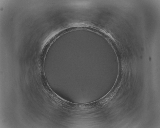 X0000068841311200605261630