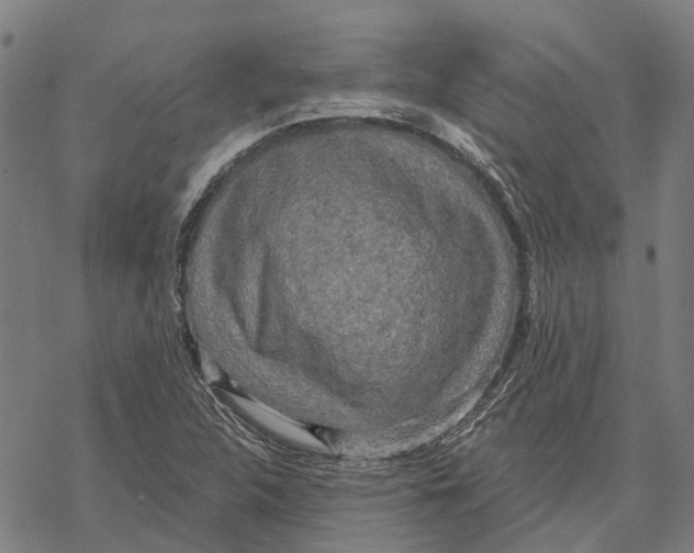 X0000068841312200605261630