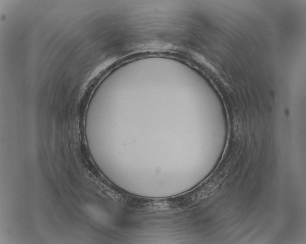 X0000068841315200605261630