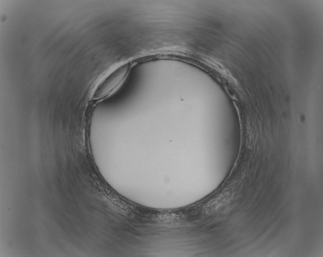 X0000068841316200605261630