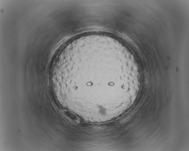 X0000068841318200605261630