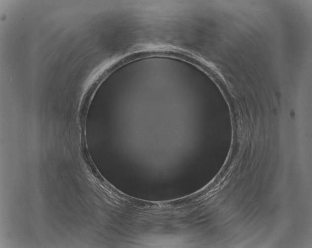 X0000068841319200605261631