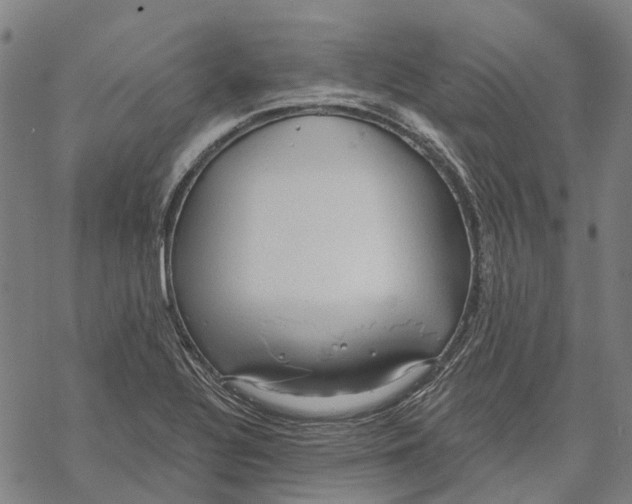 X0000068841320200605261631