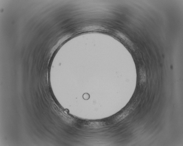 X0000068841322200605261631