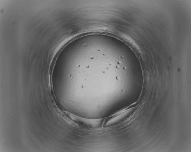 X0000068841324200605261631