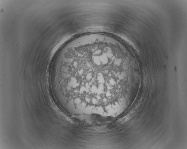 X0000068841325200605261631