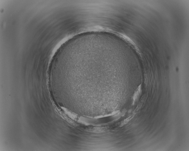 X0000068841326200605261631