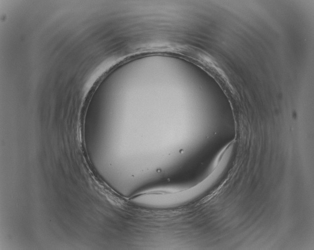 X0000068841328200605261631