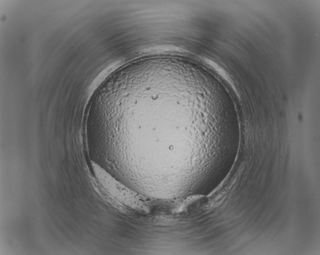 X0000068841330200605261631