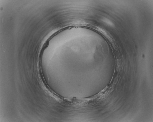 X0000068841331200605261631